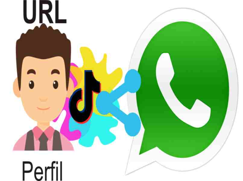  Cómo Compartir tu Perfil de TikTok por WhatsApp para que te Sigan tus Contactos